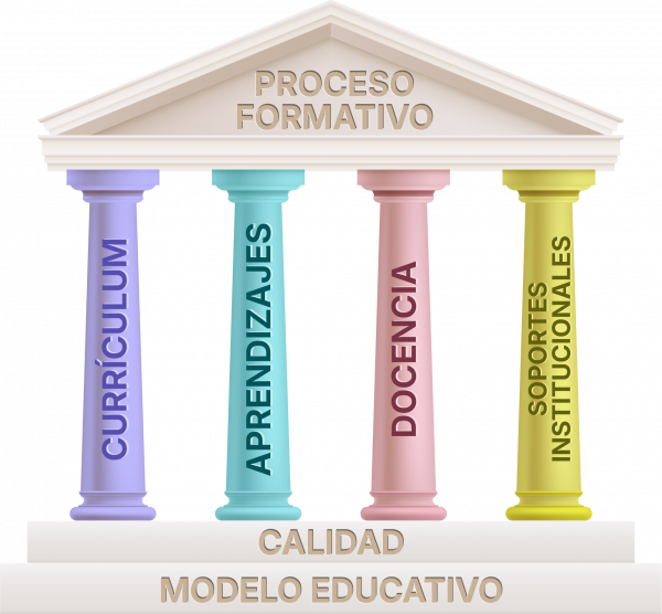 Proceso formativo Proceso formativo